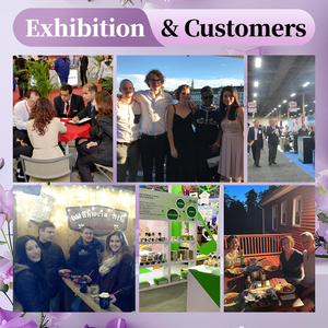 有機パイナップルフルーツジュース濃縮原料粉末エキス - Product Image 5