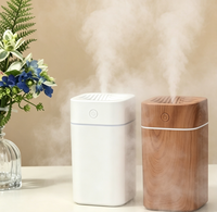 Humidificateur USB Mini Ultra-Silencieux à Grande Capacité (300 ml) pour Maison et Voiture – Vente Chaude, Approvisionnement Direct Usine