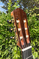 Gitar Flamenco Spanyol Vintage Buatan Tangan Merk Aiersi Kelas Master dengan Bagian Atas Kayu Spruce Solid dan Bahan Kayu Rosewood India untuk Konser