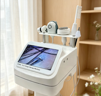 Vaporisateur électrique USB de haute qualité pour soins capillaires, prix d'usine, avec analyseur de cheveux pour salon de coiffure
