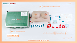 Modelo <span class=keywords><strong>de</strong></span> Inspección <span class=keywords><strong>de</strong></span> Senos GD/F7A, Modelo <span class=keywords><strong>de</strong></span> Senos para <span class=keywords><strong>Enseñanza</strong></span> Médica - Product Image 3