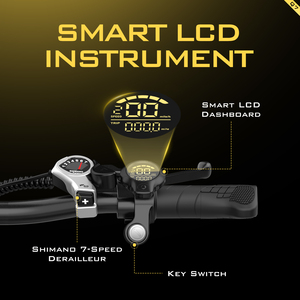 Vélo électrique tout-terrain Aairsk Q7, moteur sans balais 250W, fonctionnalités électroniques, batterie rechargeable amovible - Product Image 6