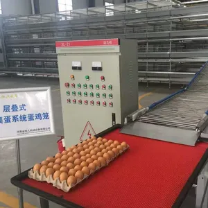 Production chaude automatique cage de ferme de volaille pour la couche \/poule \/oeuf de poulet