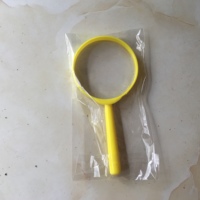 CE/RoHS Certified 5X Plastic Mini Children Magnifying Glass Handheld Cheap Educational Magnifier for School Students Gift