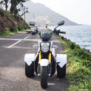 Triciclo Elettrico Aperto 1000W, Batteria al Piombo-Acido 60V, Logo e Colore Personalizzabili, Tre Ruote, 30-50km/h, Autonomia 30-50km - Product Image 6