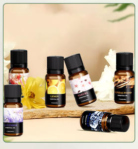 เครื่องเพิ่มความชื้นในอากาศแบบธรรมชาติ พร้อมน้ำมันหอมระเหยอโรมา หินกระจายกลิ่นหอมแบบขยายตัว ชุดน้ำมันอโรมาเธอราพีแบบละลายน้ำได้ 12 และ 6 ชิ้น - Product Image 2