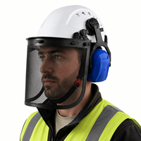 Casque de sécurité forestier professionnel ANT5PPE 4 en 1 avec écran facial en maille et protection auditive pour travaux avec tronçonneuse (EPI)