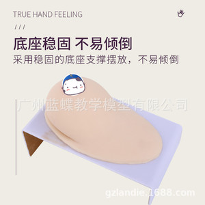 Sein artificiel en silicone souple de grande taille pour la formation des conseillères en lactation, les écoles professionnelles de services domestiques, les hôpitaux - Product Image 3