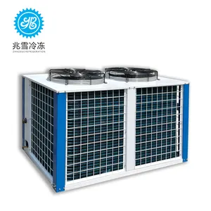 Unidad de condensación refrigerada por aire, producto de tienda, 3HP, unidad de condensación de congelador para alimentos frescos