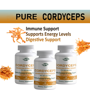 Cápsulas de Extracto de Cordyceps Militaris de Venta Caliente con Etiquetas Privadas OEM para el Apoyo del Sistema Inmunológico y Aumento de Energía, Aptas para Veganos - Product Image 4