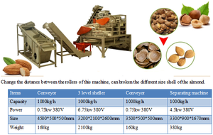Línea de Producción de Pistachos de 1000 kg/h, Línea de Procesamiento de Pistachos, Máquina Descascaradora y Trituradora de Pistachos y Almendras - Product Image 5