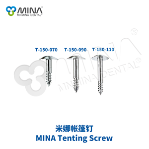 MNMINA <span class=keywords><strong>DENTAL</strong></span> MINA GBR sistema 1.0 alta qualità in acciaio inox/titanio/PTFE GBR Kit di fissaggio vite sistema di Tack per orale dentale - Product Image 4