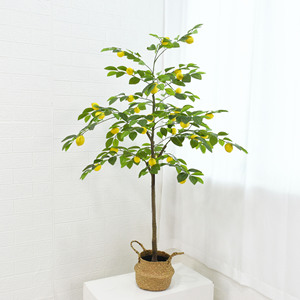 <span class=keywords><strong>Albero</strong></span> di limone artificiale realistico della decorazione dell'<span class=keywords><strong>albero</strong></span> dei Bonsai dell'hotel del salotto dell'interno di vendita caldo semplice moderno - Product Image 5