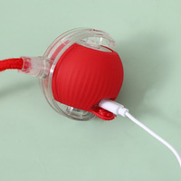 Vente en gros de balles pour animaux de compagnie en silicone et plastique écologiques, rechargeables, anti-ennui, intelligentes, à 7 couleurs, avec fonction de réveil automatique, 300 mAh