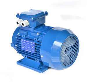 Moteur à induction AC pour ligne de production industrielle 110V 120V 220V 220 380 400 415 Volt 230V 240V 380V 400V 415V - Product Image 4