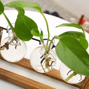 NEW Planter Terrarium With Retro Wooden <b>Stand</b> Desktop Air Propagation Stations Bulb Glass for Hydroponics Plants - Product Image 3