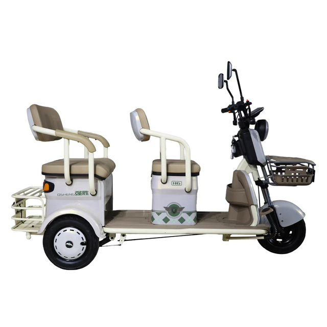 Three Wheels Electric Bike 48V 500W Eec Approved Passenger Tricycle Car 3 Wheels Enclosed Electric Mini Scooter