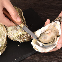 Fabriek Directe Verkoop Shucking Oestermes Hout Handvat Elegant Roestvrij Staal Oestermes Voor Schelpdieren Opener Zeevruchten