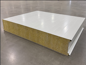 Panneau mural modulaire personnalisable pour salle blanche, isolé en laine de roche, pour cloisonnement de laboratoire et d'usine sans poussière - Product Image 6