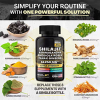 Exportation transfrontalière, vente chaude : Capsules de Shilajit Complexe 8 en 1, 15250 mg Force Maximale, 60 Comprimés, Complément Alimentaire pour Adultes