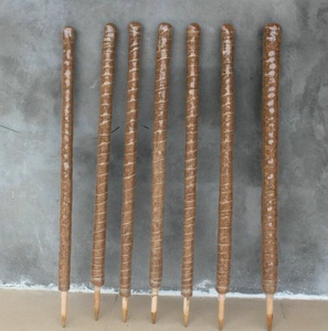 Poteau totem <span class=keywords><strong>en</strong></span> fibre de coco de 100 cm, 15 étiquettes de plantes, attaches de jardin, bâton de mousse <span class=keywords><strong>pour</strong></span> le soutien des plantes, extension <span class=keywords><strong>pour</strong></span> plantes grimpantes, plantes rampantes - Product Image 2