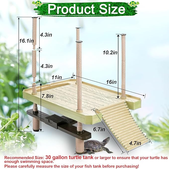 Turtle pier-large