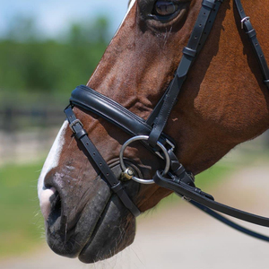 Bridon d'équitation de haute qualité, durable, en cuir véritable, personnalisable (logo, couleur, design et tailles) - Product Image 3