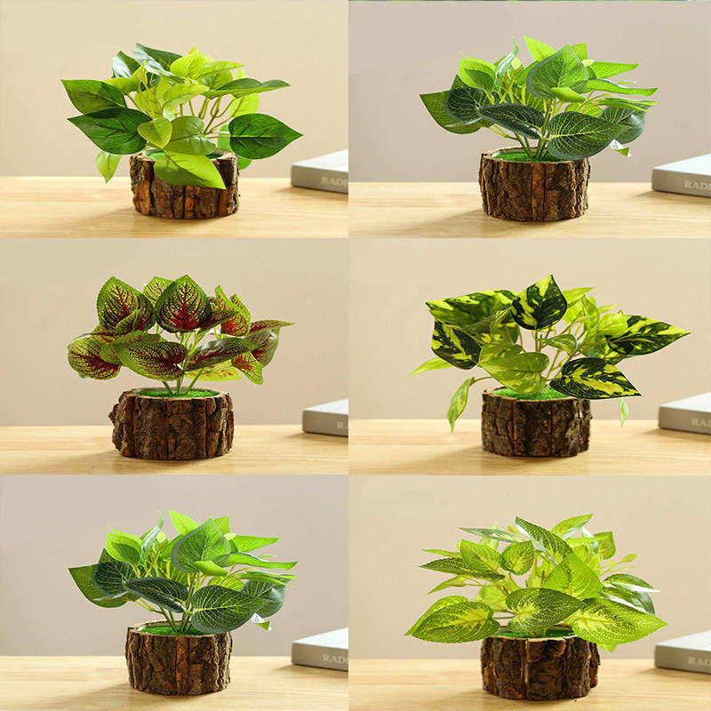 Simulation of green plants potted 6-piece