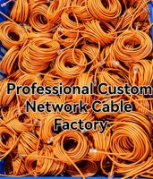 Cable de Red LAN Cat6 UTP Gigabit RJ45 de 100m, Profesional, Personalizado, de Alta Gama, para Redes Industriales, CCTV y Routers