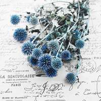 2026 Bunga Thistle Biru Kering Alami Echinops Ramah Lingkungan untuk Dekorasi Pernikahan Modern, Halloween, Natal, Arsitektur, dan Rumah