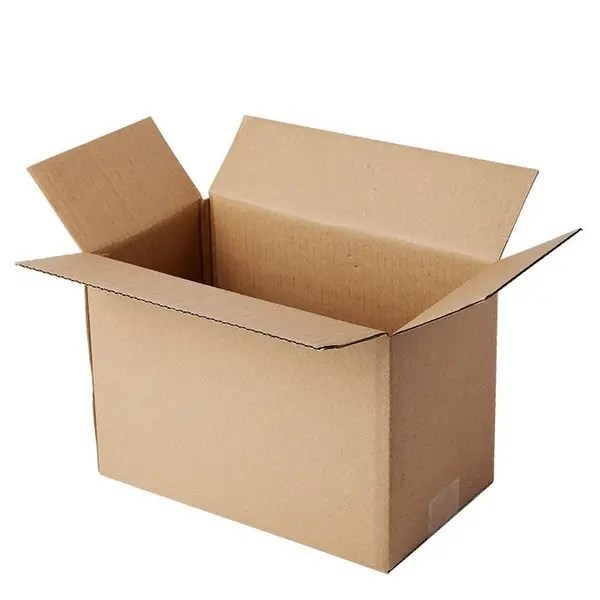 Carton Box for Packing Audio Speaker
