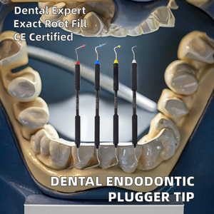 Embout de plugueur manuel endodontique dentaire, Instrument endodontique Classe I, Pressuriseur vertical pour obturations dentaires et canaux radiculaires - Product Image 2