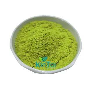 wholesale Price pure natural Organic Natural Bulk 99% moringa leaf extract Moringa powder