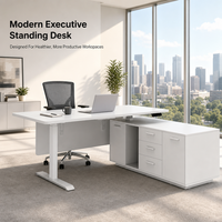 Bureau debout électrique modulaire personnalisé, poste de travail exécutif réglable en hauteur avec armoire latérale pour bureau d'entreprise