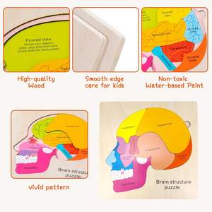 Puzzle anatomi otak kayu 16 bagian struktur otak biologi Jigsaw <span class=keywords><strong>STEM</strong></span> pendidikan mainan anak-anak untuk anak laki-laki perempuan usia 3 + Tahun - Product Image 4