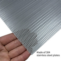 0.3mm 0.5mm petit trou poinçon écran maille feuille en acier inoxydable perforé métal plaque maille perforée rouleau