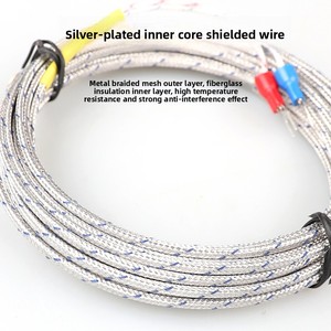 مستشعر حرارة من النوع K/E مع مقاومة حرارية <span class=keywords><strong>PT100</strong></span> وقطر داخلي M5 لآلات حقن البلاستيك - Product Image 4