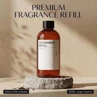Recharge de diffuseur à bâtonnets de luxe liquide 500 ml, écologique, parfum intense, désodorisant pour maison, hôtel et chambre, OEM, vente chaude