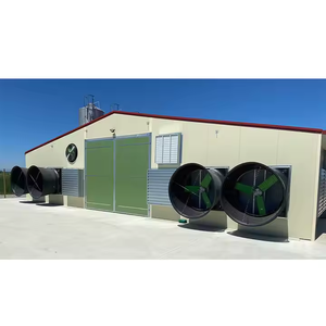 Granja Avícola para 10000 Pollos/Establo para 20000 Pollos, Pato, Cría <span class=keywords><strong>de</strong></span> Aves <span class=keywords><strong>de</strong></span> Corral, Granja <span class=keywords><strong>de</strong></span> Acero, Cría <span class=keywords><strong>de</strong></span> Pollos Económica - Product Image 6