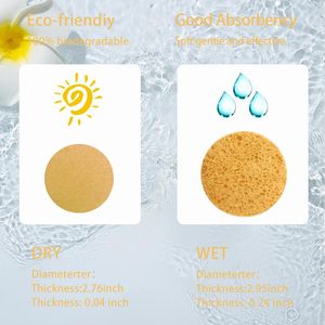Éponge ovale simple 100% naturelle pour le nettoyage du visage et les soins de la peau - Product Image 2