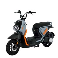 Vélo électrique chinois pour adultes, pneus larges, écran numérique, moteur sans balais 1000W, cadre en acier, 3 vitesses, frein à disque