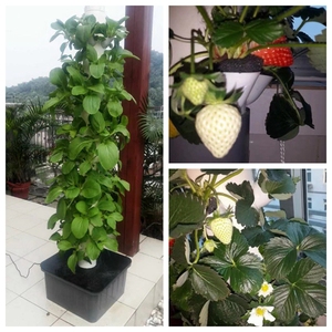 Home Balcony Floor-Mounted Hydroponic Vertical Planting Tower <b>Planter</b> Water-Saving Farm Greenhouse <b>Vegetable</b> Soilless - Product Image 4
