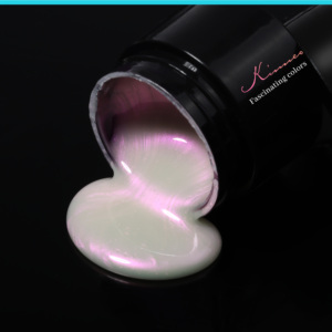 Aurora Shells 3D Emboss Build Gel Nail Logo Personnalisé 9 Couleurs Nude Extension Gel Indolore Builder Nail Gel Polish Wholesale kg - Product Image 6