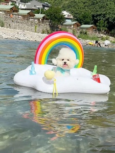 Bouée <span class=keywords><strong>gonflable</strong></span> pour chien en forme de cocotier, <span class=keywords><strong>lit</strong></span> flottant aquatique, transat d'extérieur pour animaux, jouet épaissi et portable en PVC, nouveau style, 5 kg - Product Image 2