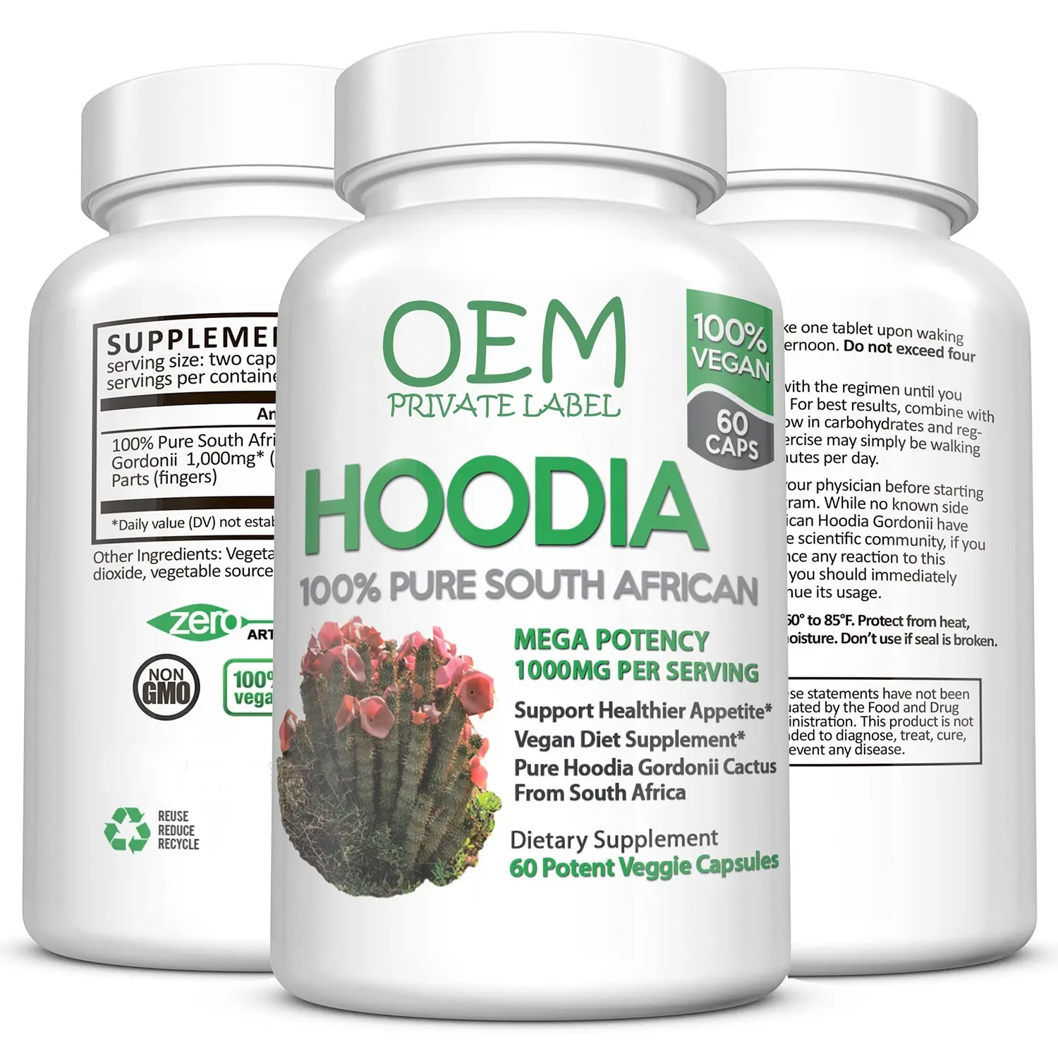 Hoodia Gordonii Capsules Vegan Appetite Suppressant Weight Loss Capsules Slimming Fat Burner Capsules Hoodia Gordonii Extract