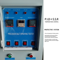 Salt Spray Test Chamber Corrosion Resistance Testing Equipment Salt Fog Tester for Auto Parts / Marine Electronics
