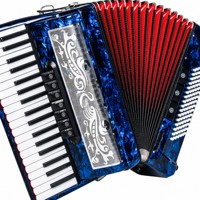 Accordéon d'entraînement 37 touches 80 basses, instrument de musique pour adultes et étudiants, idéal pour la pratique, les examens et les performances