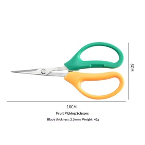 Ciseaux <span class=keywords><strong>de</strong></span> jardinage professionnels pour légumes <span class=keywords><strong>et</strong></span> fruits, en acier inoxydable, avec poignée antidérapante pour les fleurs en pot - Product Image 4