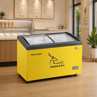Congélateur vitrine pour crème glacée Xuecun SD/SC-268Y, 2 portes, 4 étagères, capacité 268L, congélation à -18°C, refroidissement direct, contrôle numérique