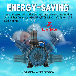 Heto 2700gph 120W Onderwaterpomp Hogedrukcentrifugaaltheorie Voor Buitenwaterval Pompen Productcategorie - Product Image 2